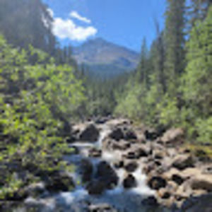 Meet your Posher, Tannya